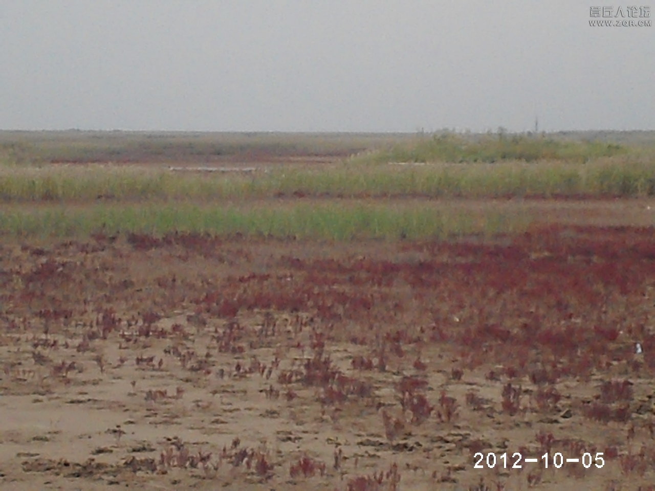 PHTO0167.JPG