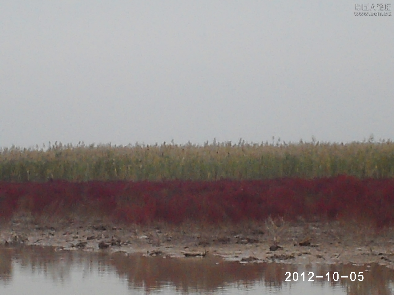 PHTO0171.JPG
