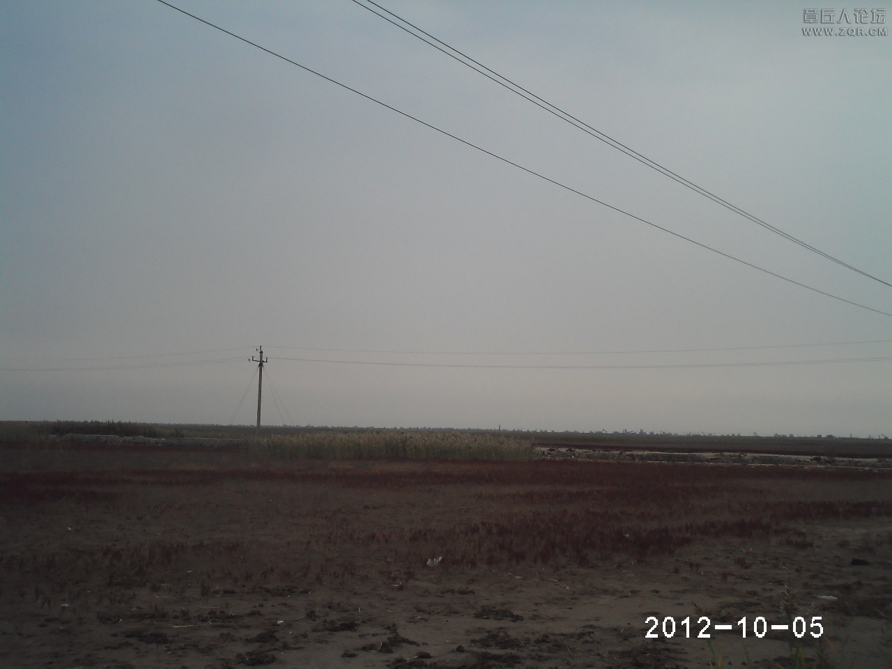 PHTO0175.JPG
