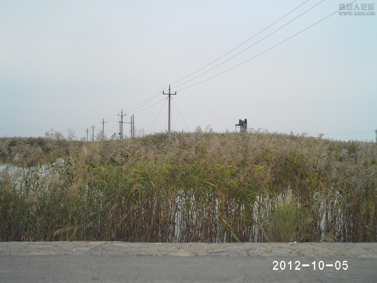 PHTO0177.JPG