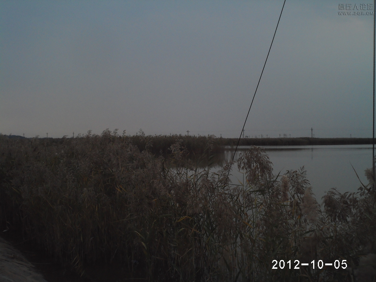 PHTO0181.JPG