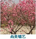 朋友1.jpg
