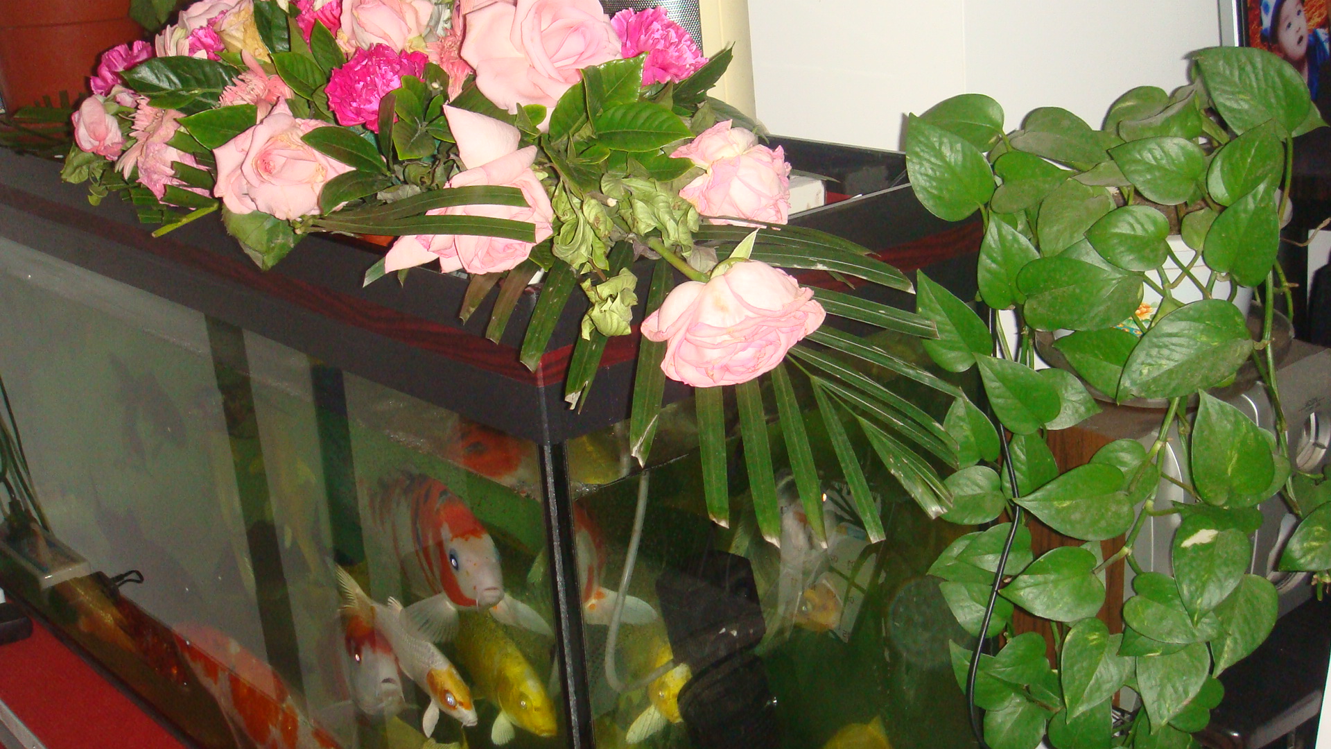 DSC06712.JPG