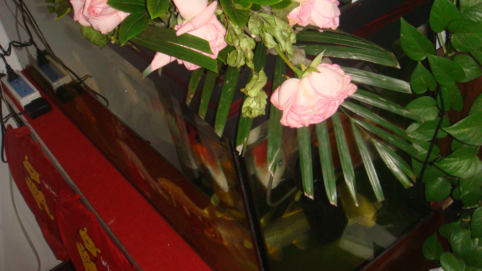 DSC06713.JPG