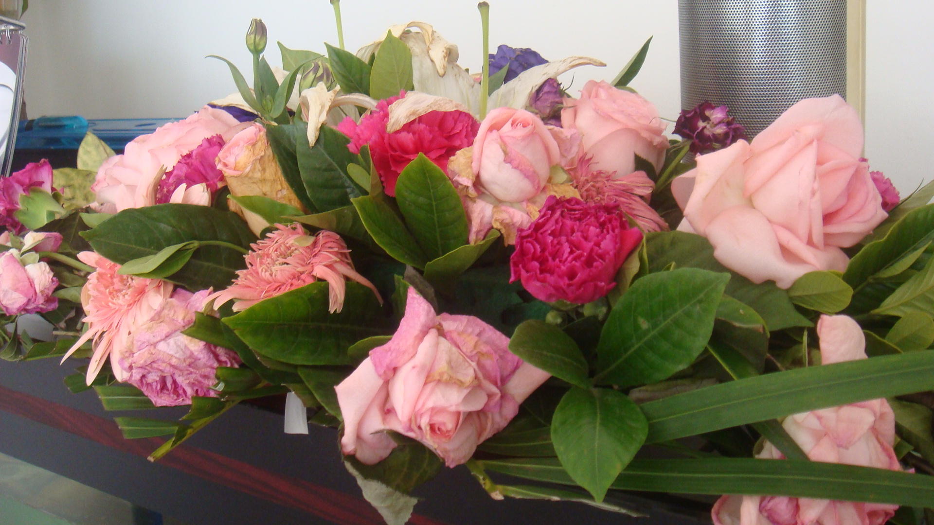 DSC06806.JPG