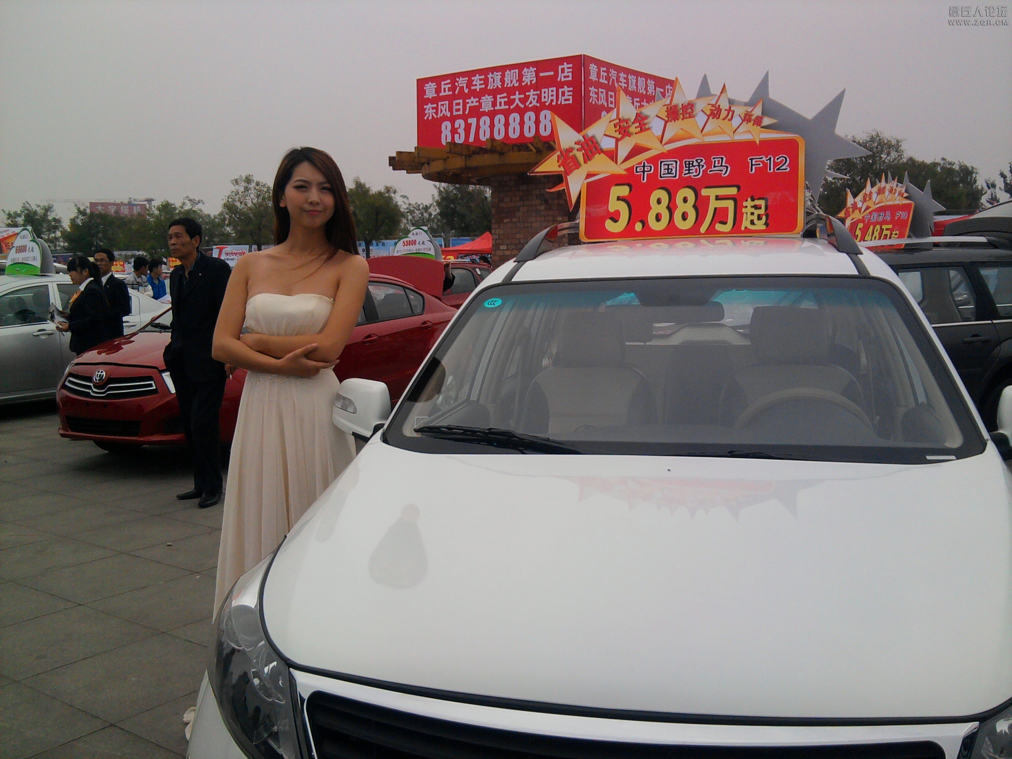 顺便看几张美女