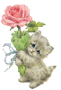 100.jpg