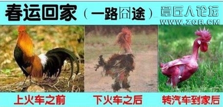 2013013011442642995.jpg