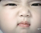 13.gif