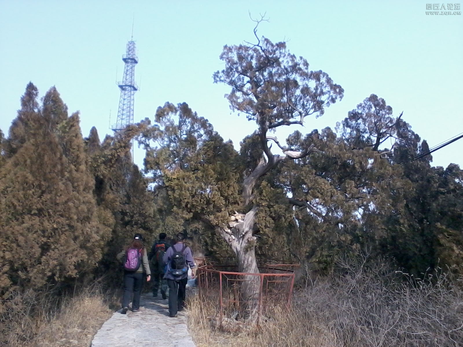 20130223_140348.jpg