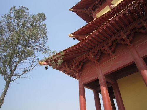 nEO_IMG_照片 135.jpg