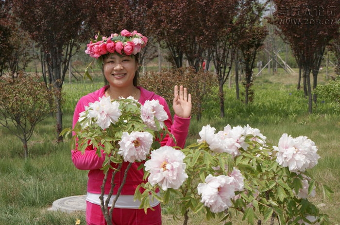 DSC00434_副本.jpg