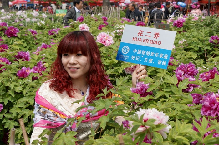 DSC00463_副本.jpg