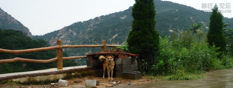 雨后山景.jpg