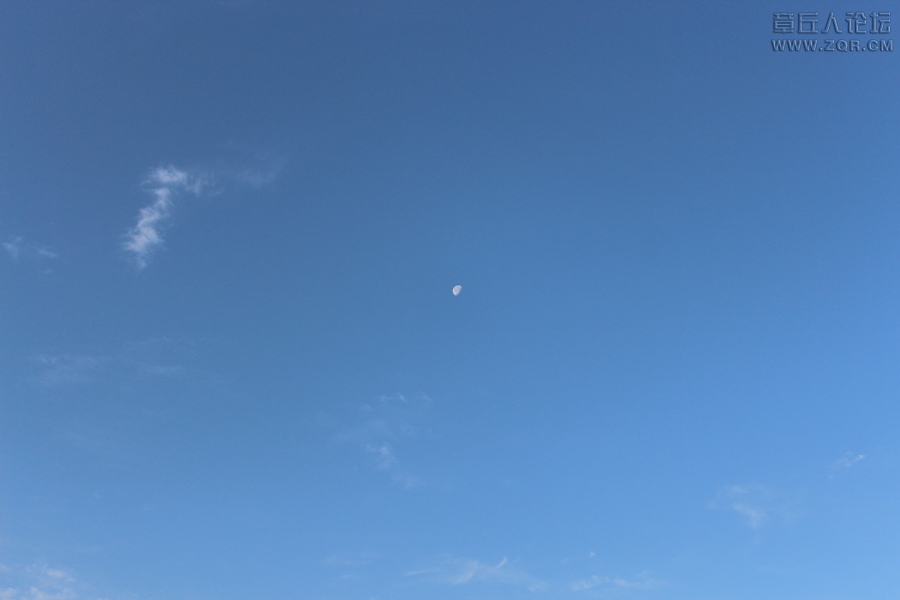 照片 015.jpg