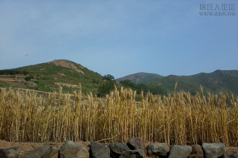 20130601_075138.jpg