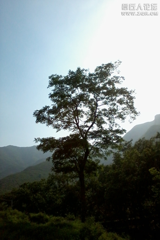 20130601_075823.jpg