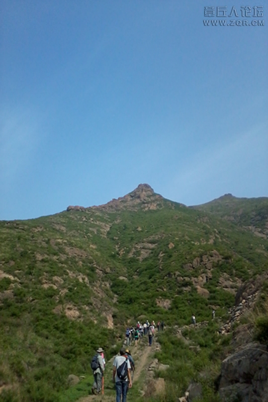 20130601_080718.jpg