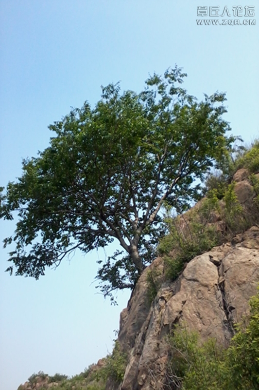 20130601_100028.jpg