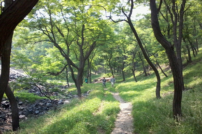 20130601_122021.jpg