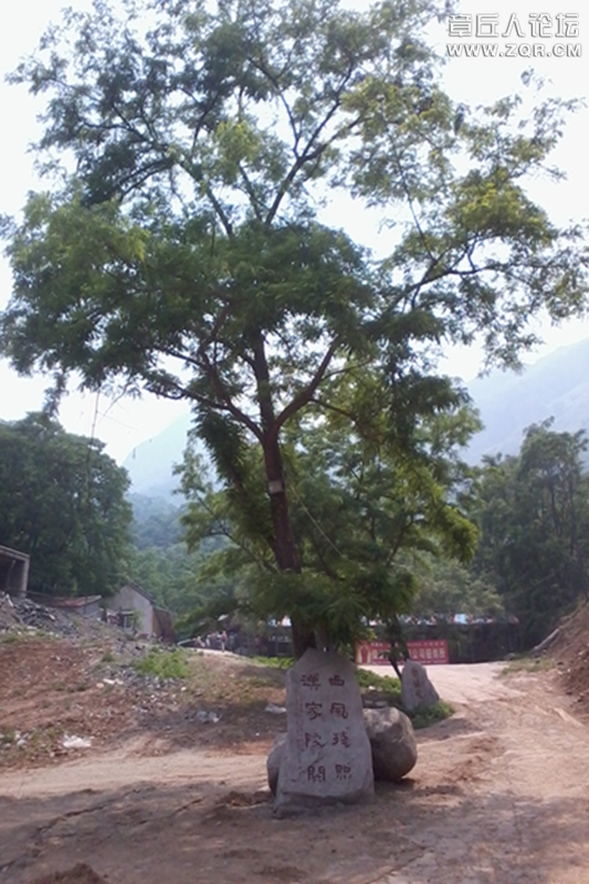 20130601_123445.jpg