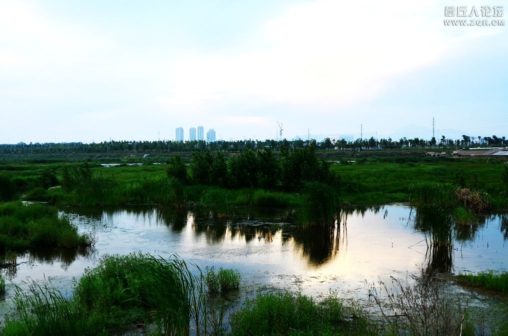 DSC_0065.jpg