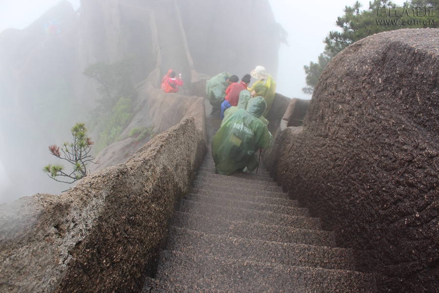 照片 137.jpg