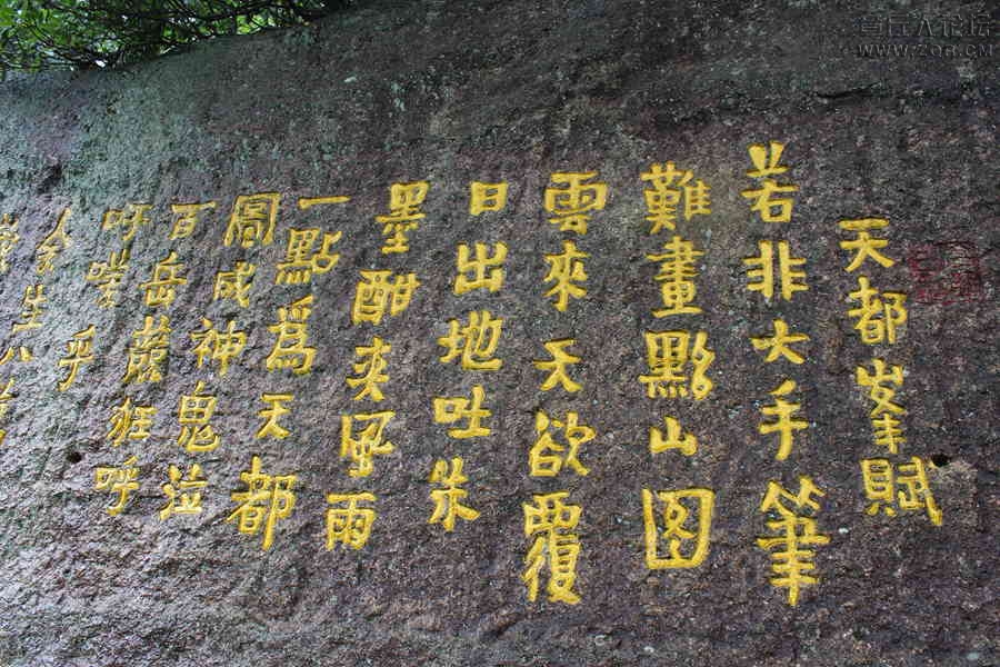 照片 206.jpg