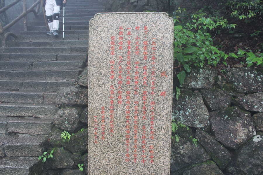 照片 240.jpg
