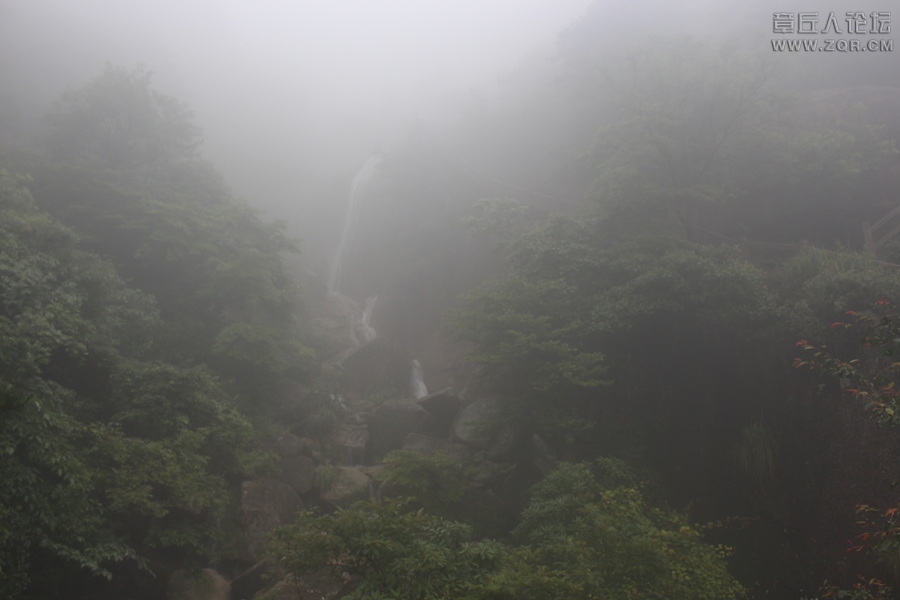 照片 241.jpg