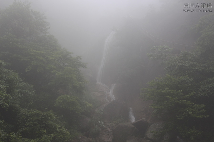 照片 242.jpg