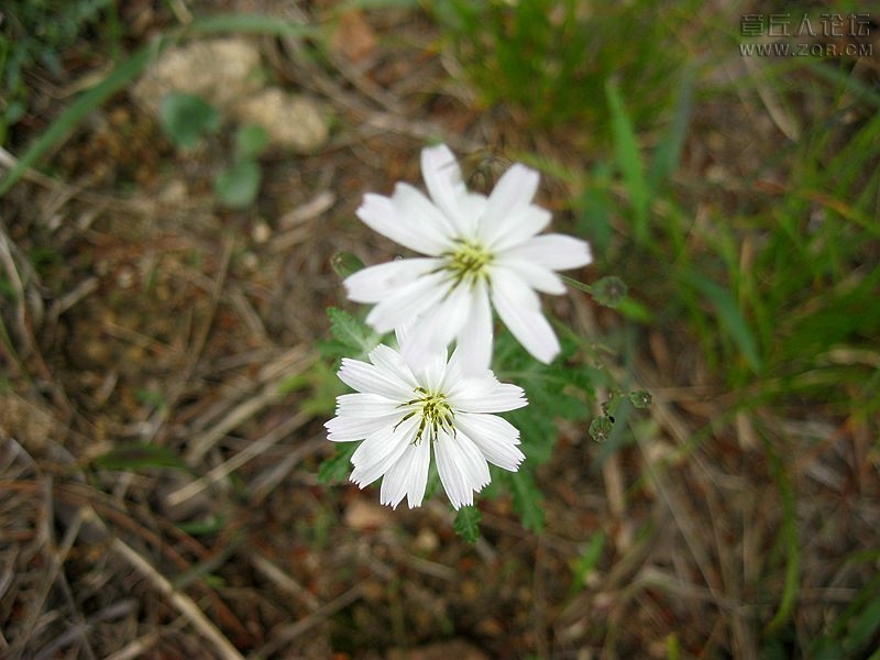 IMG_4929_副本.jpg