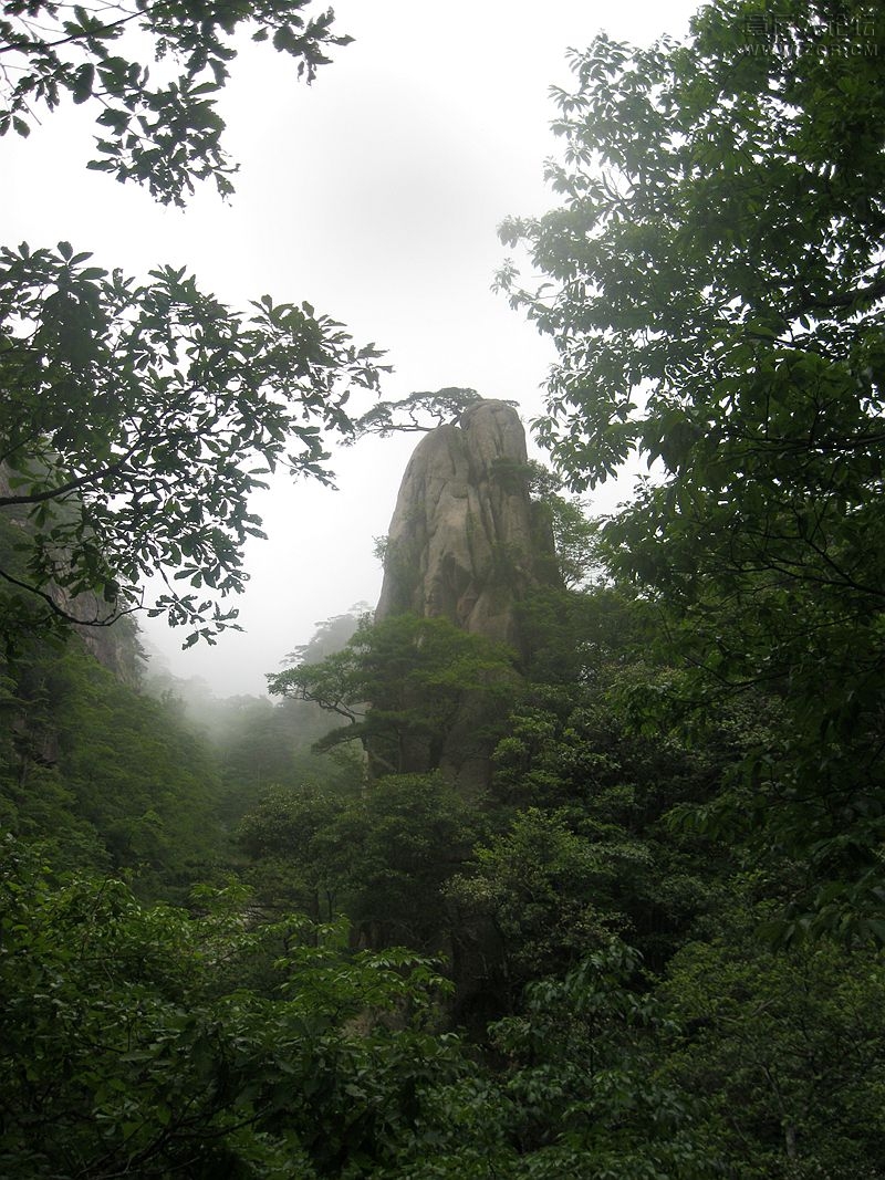 IMG_4492_副本.jpg