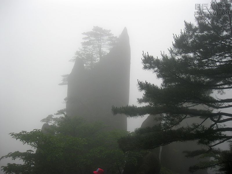 IMG_4605_副本.jpg
