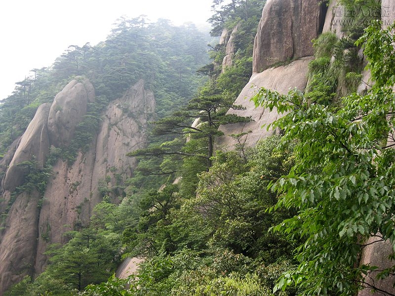 IMG_4622_副本.jpg