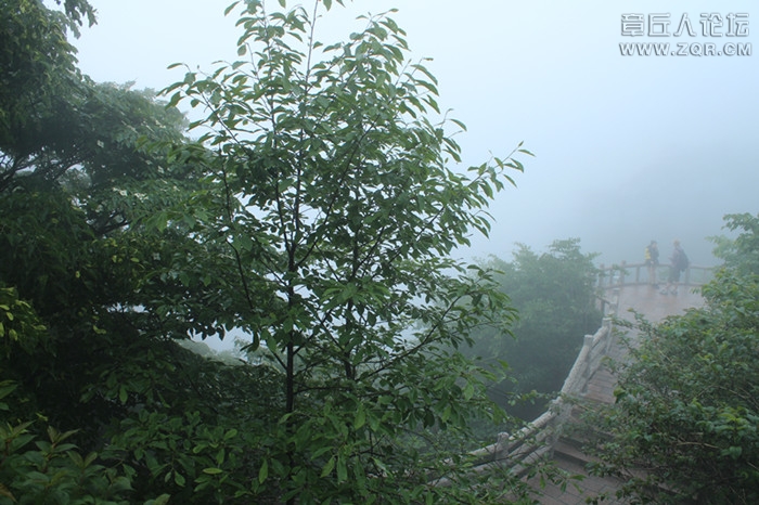 IMG_4743_副本.jpg