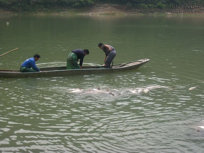 IMG_4787_副本.jpg
