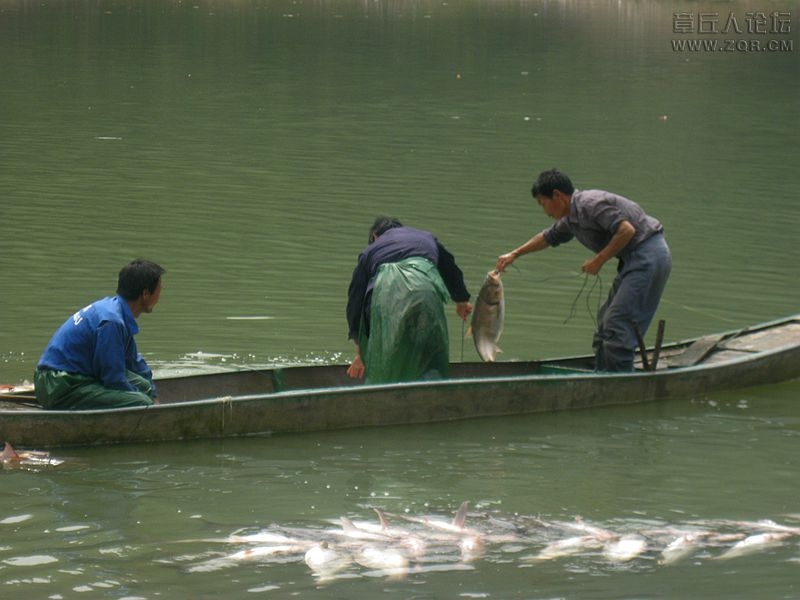 IMG_4788_副本.jpg