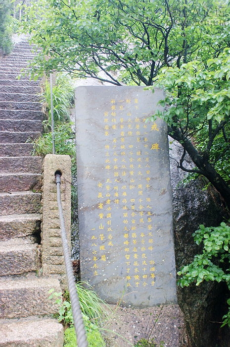 DSC00304.JPG