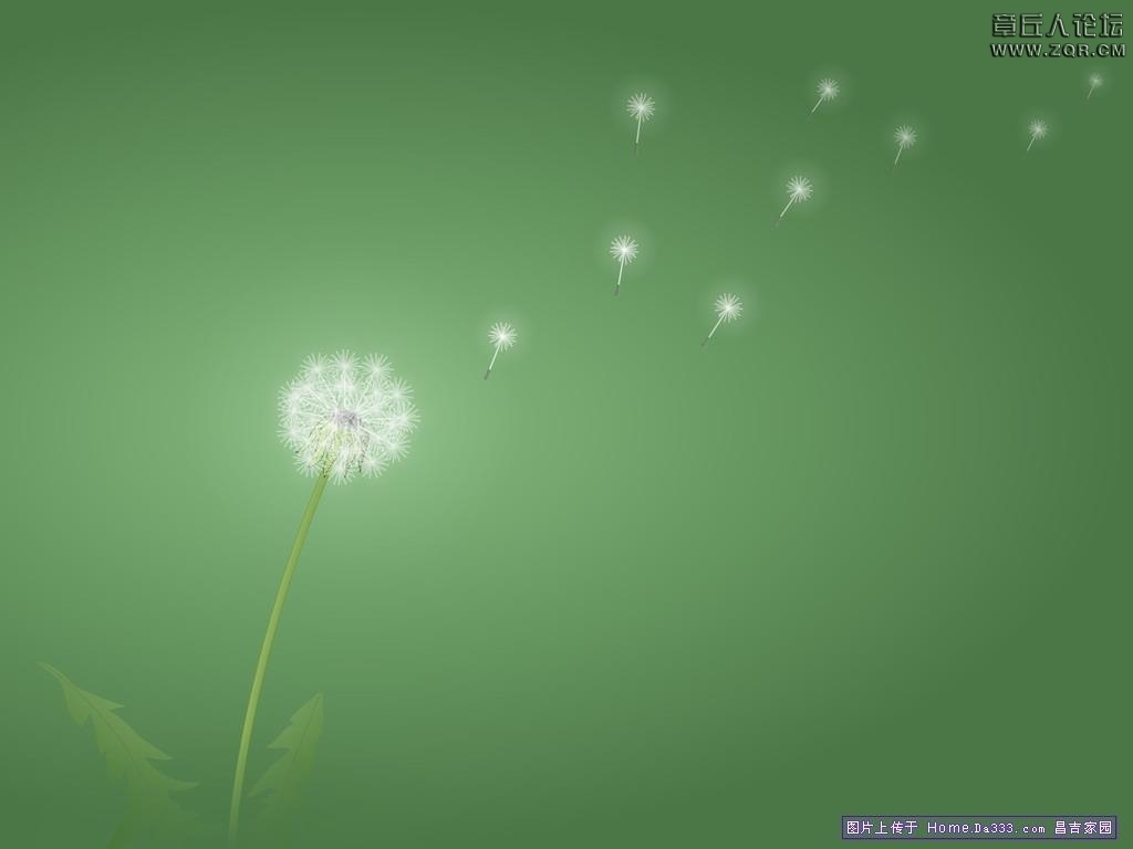 105707sym6h66m55ey6yym.jpg