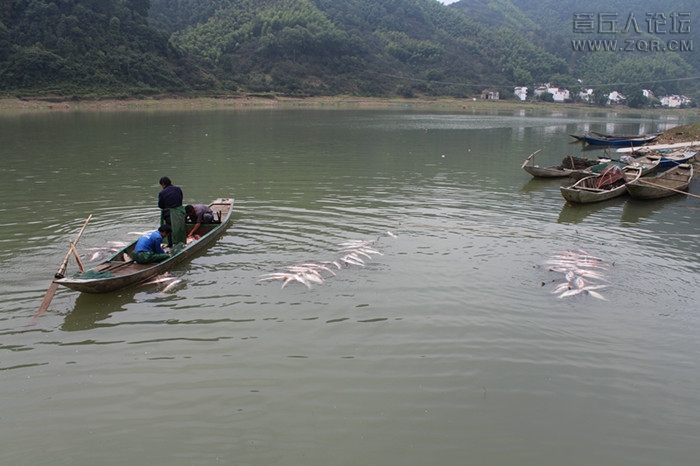 IMG_5171_副本.jpg