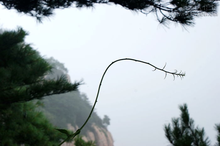 DSC00104.JPG