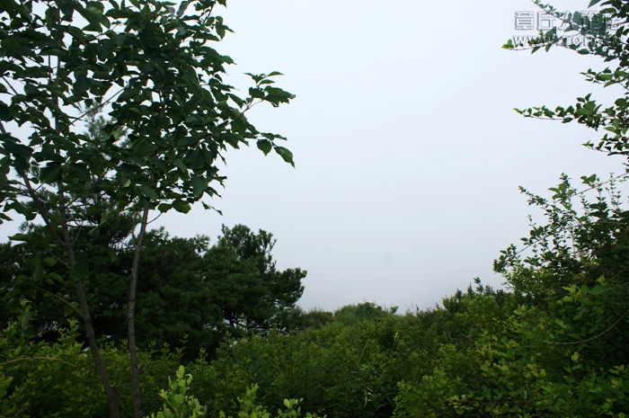 DSC00106.JPG