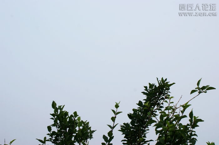 DSC00107.JPG