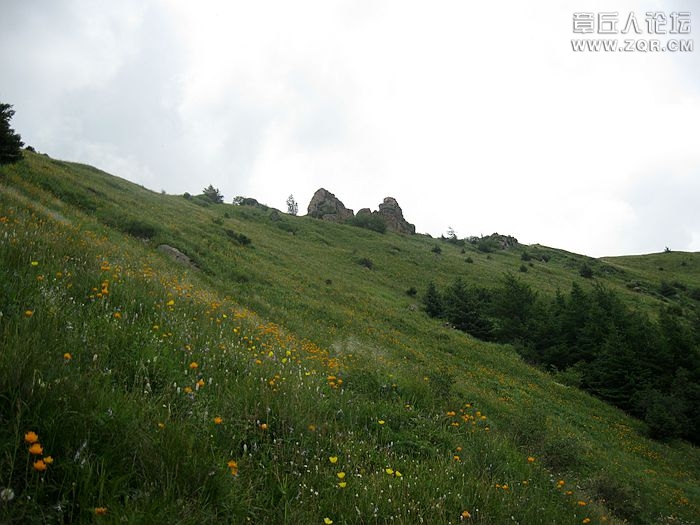 IMG_5315_副本.jpg