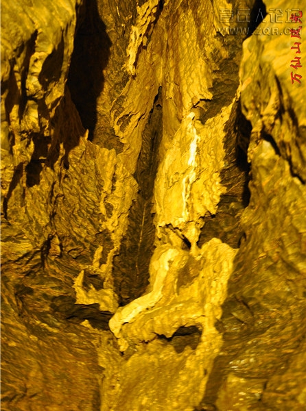 DSC_0679.jpg