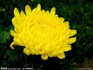 t015e5fa25346c02e13.jpg