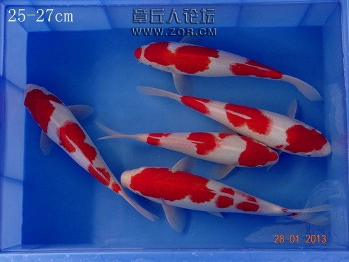 original_RNUo_616f0000808c125b.jpg