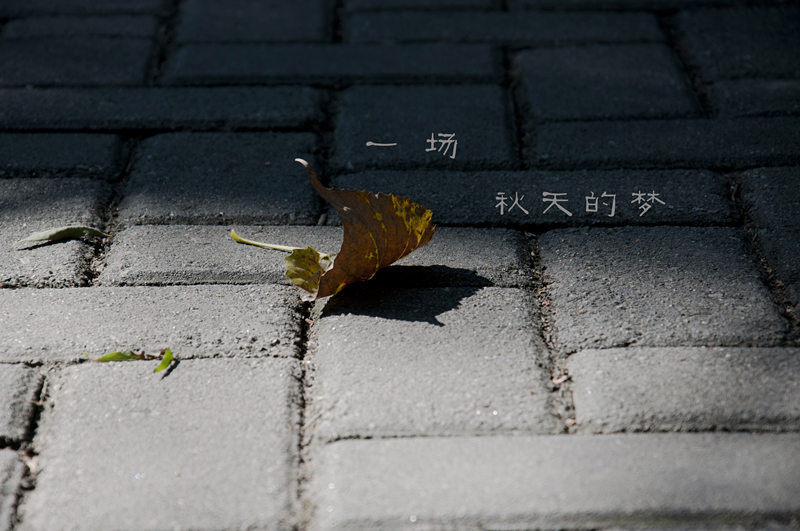 20131002_4_副本.jpg