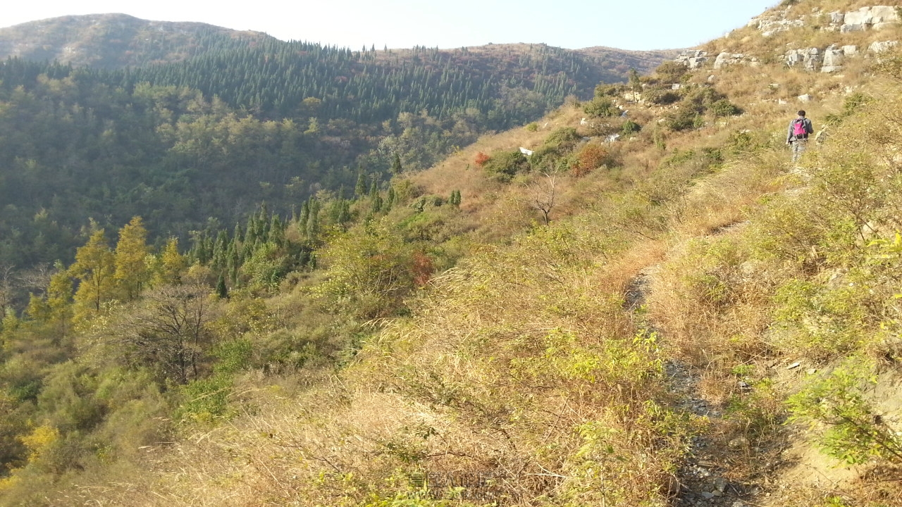 20131013_075224.jpg